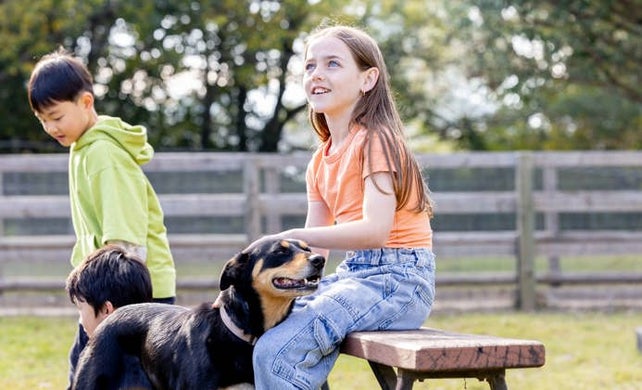 Image of Sheepdog Encounter